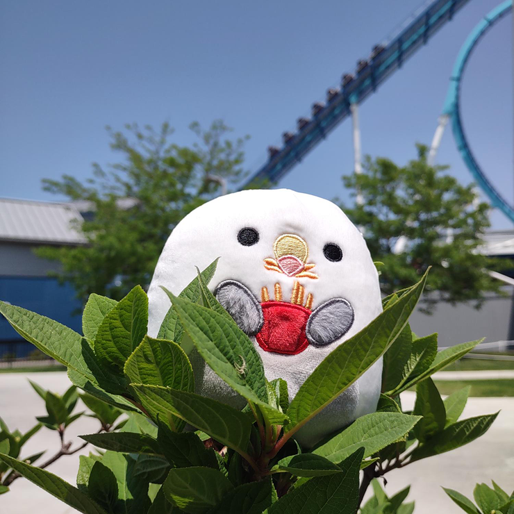 Cedar Point 5” Seagull Squishmallow