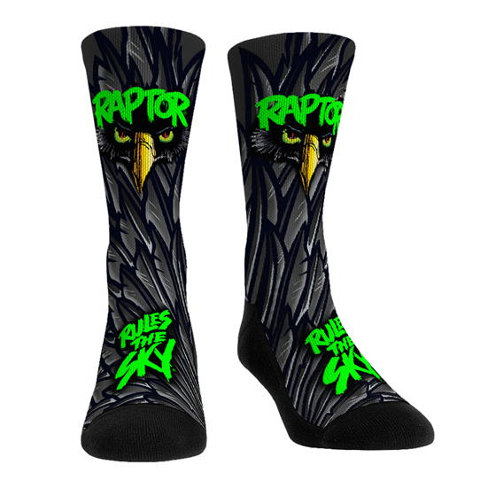 Cedar Point Raptor Socks